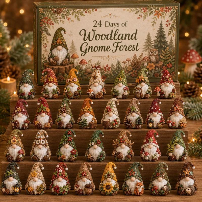 ⚡Massive Savings🔥Limited Time Only🎄🧝24-Piece Gnome Acrylic Advent Calendar