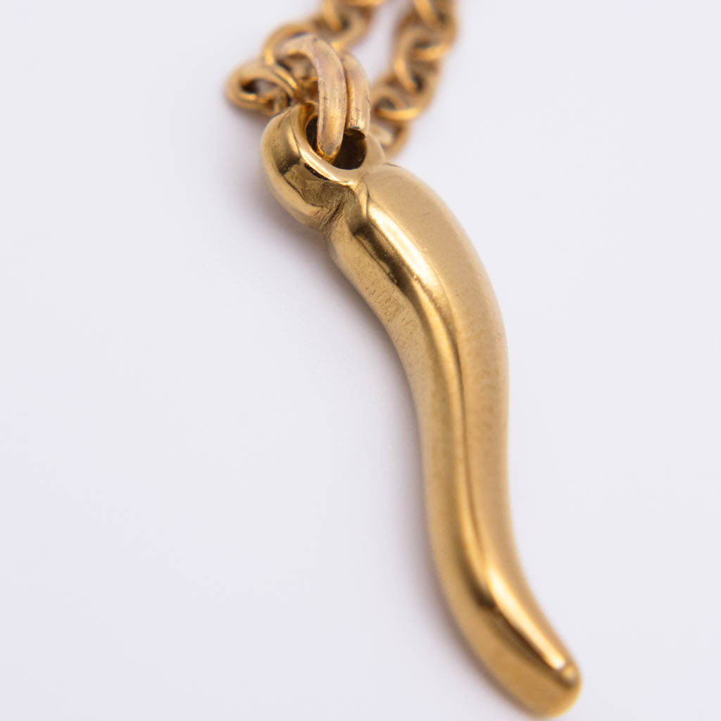 Sole Corno Necklace💧✅