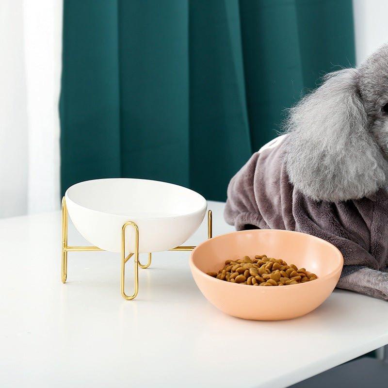 Bronze Stand Ceramic Pet Bowl in White