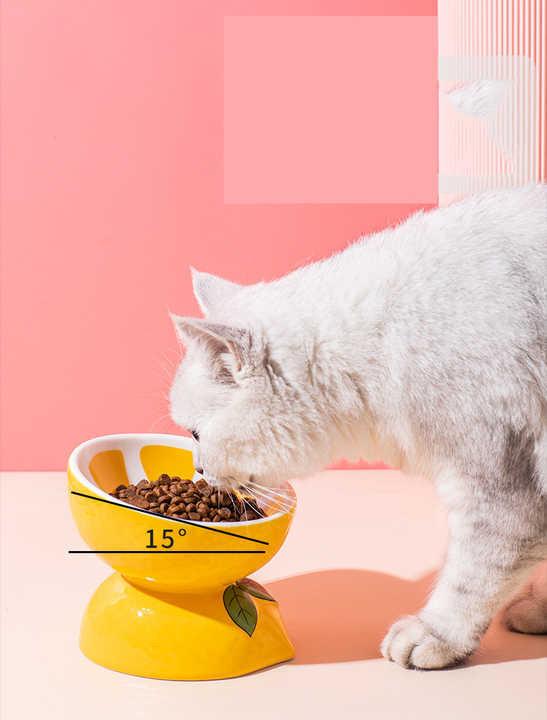 Ceramic Elevated Pet Food Bowl - Banana