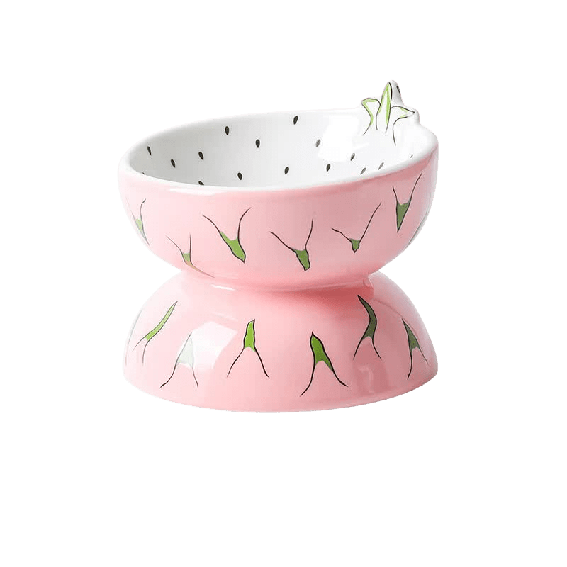 Ceramic Elevated Pet Food Bowl - Pitaya