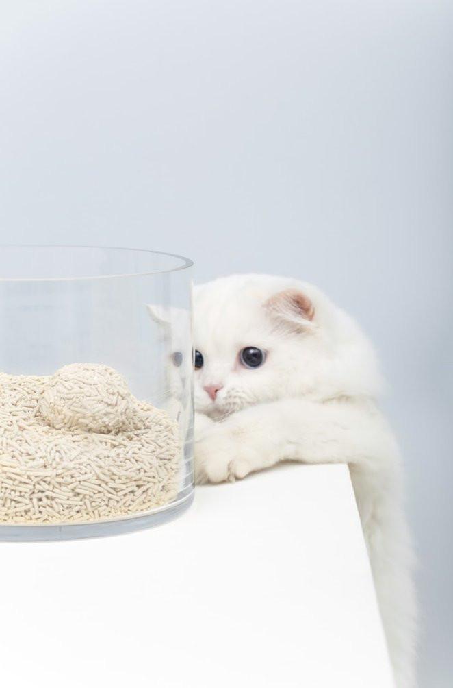 Gen3 6L Dust-Free and Natural Clumping Tofu Cat Litter - Ocean Fresh