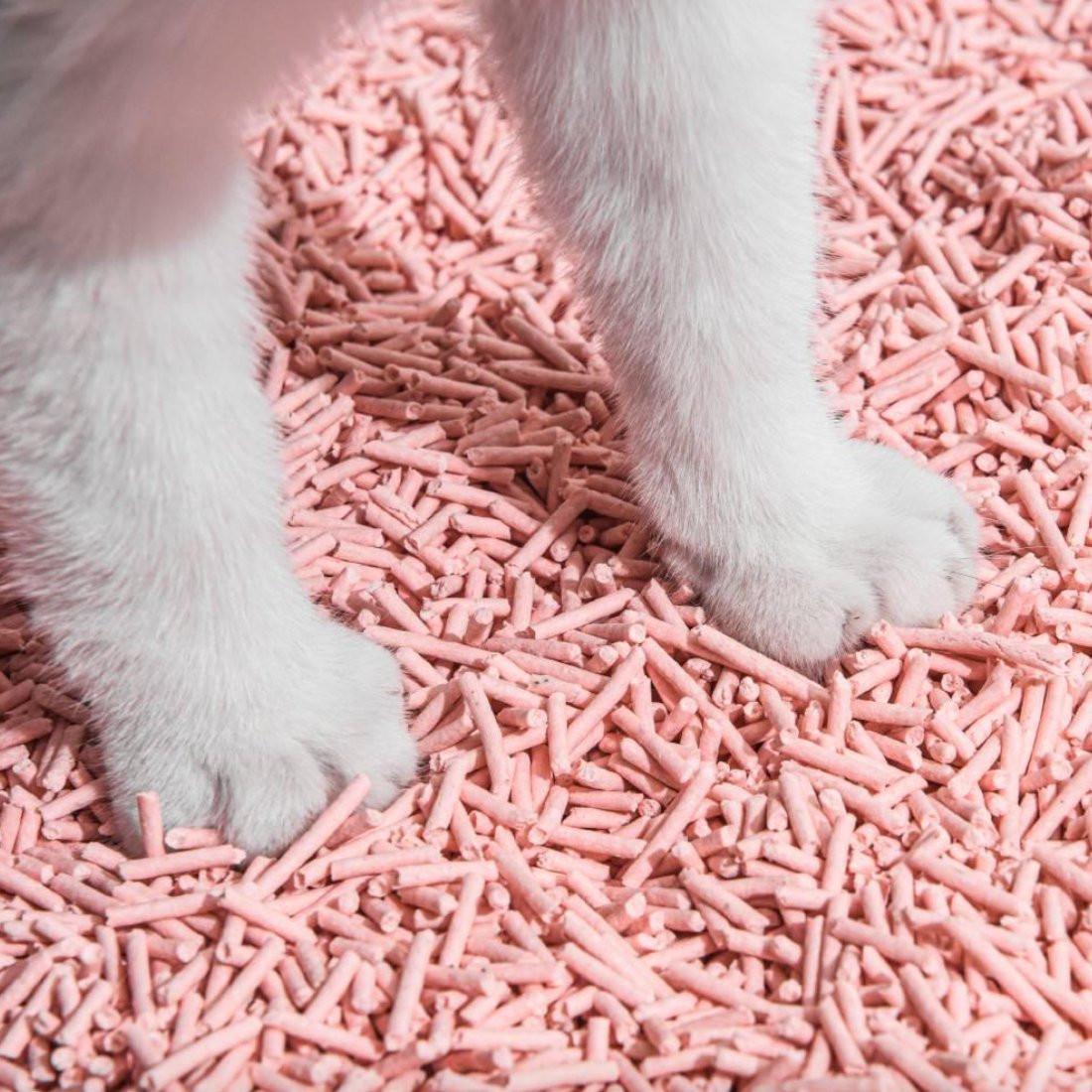 Gen3 6L Dust-Free and Natural Clumping Tofu Cat Litter - Peach