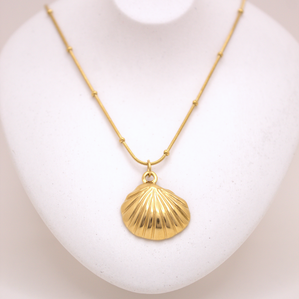 Sunlit Shell Necklace 💧✅