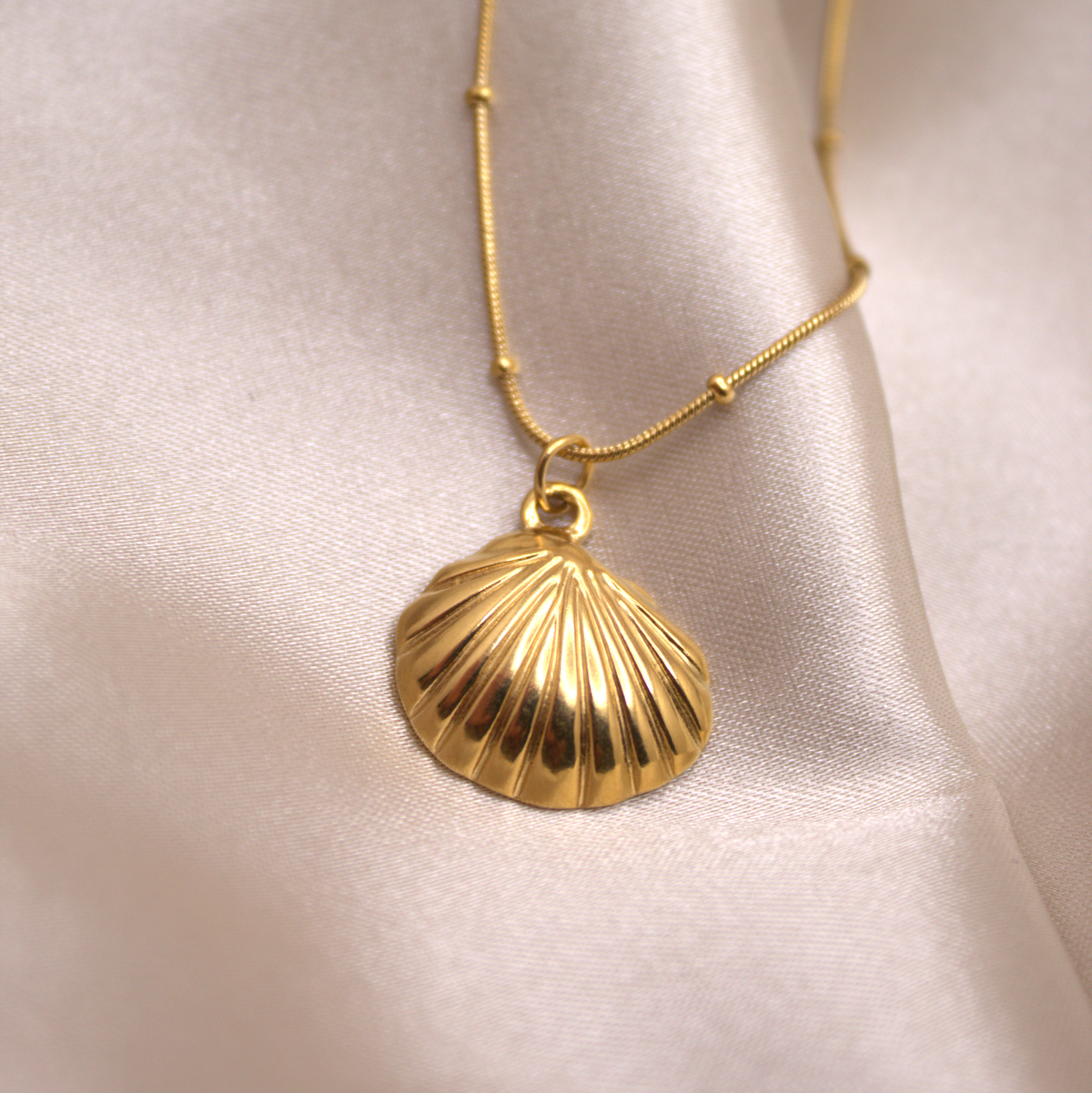 Sunlit Shell Necklace 💧✅