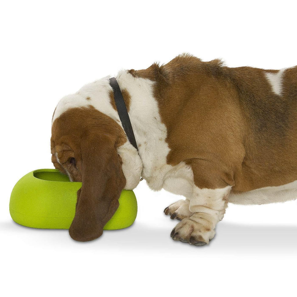 IncrediBowl Wet and Dry Food Bowl for Long Eared Dogs - Green