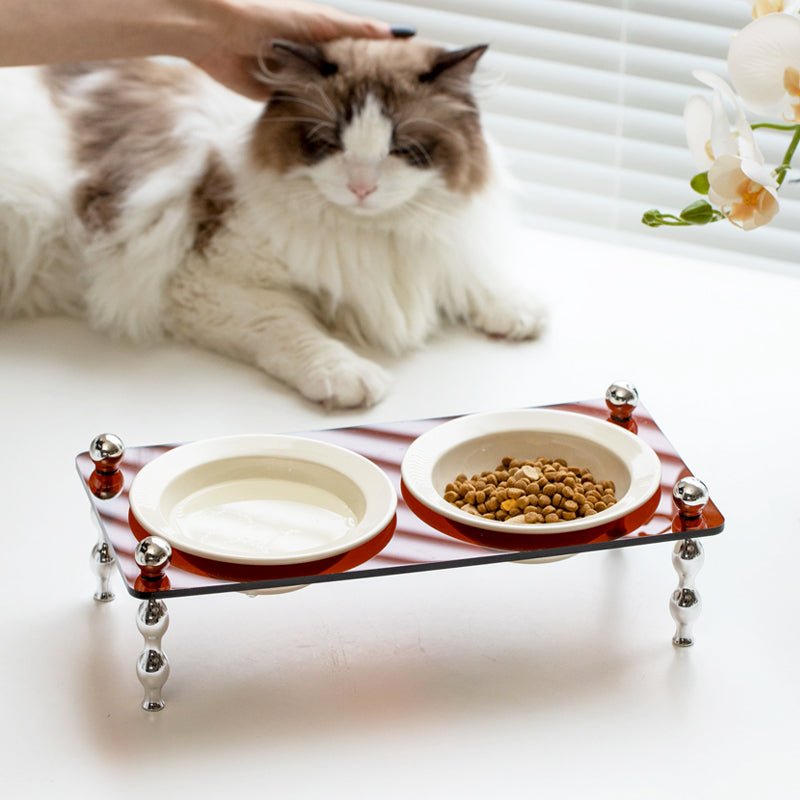 La Belle Raised Cat & Dog Bowl in Brown