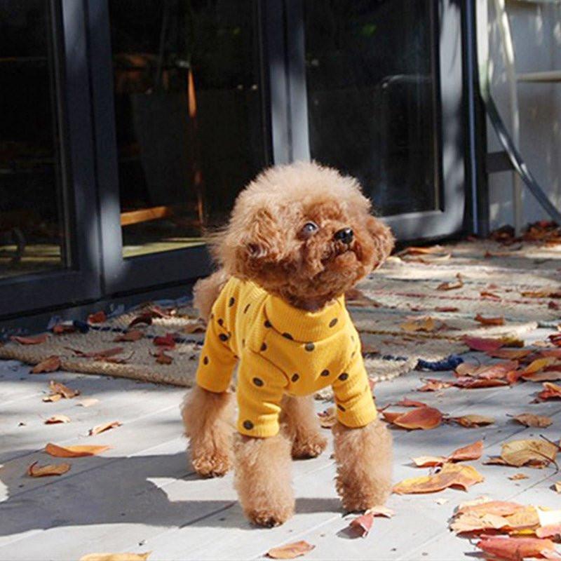 Polka Dot Cotton Jumper