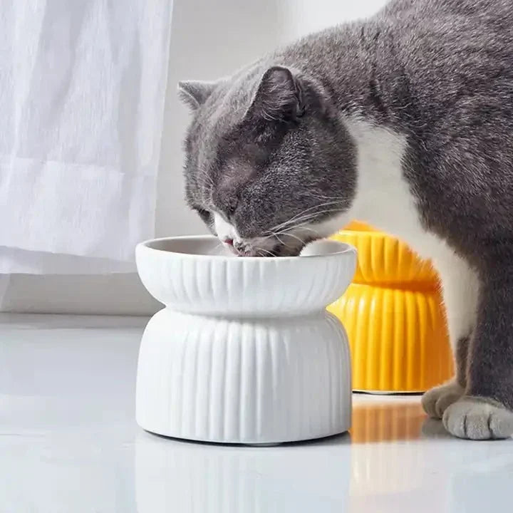 HOPD Ribbed Elevated Ceramic Cat Bowl in Pink