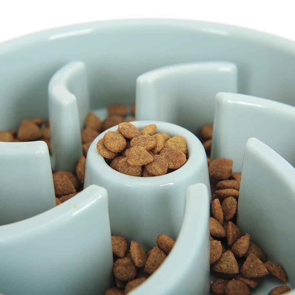 Slow Training Pet Feeder in Pastel Blue