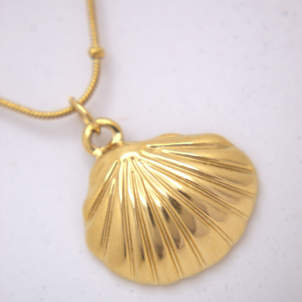 Sunlit Shell Necklace 💧✅