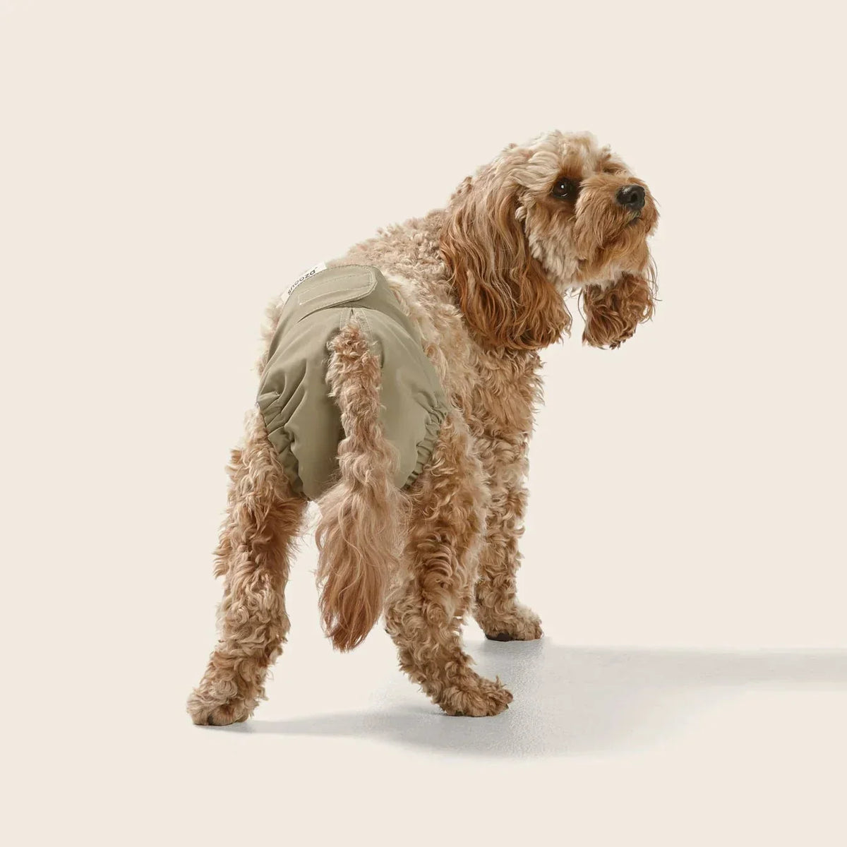 Snooza Washable Dog Nappy Band – Twin Pack for Female Dogs